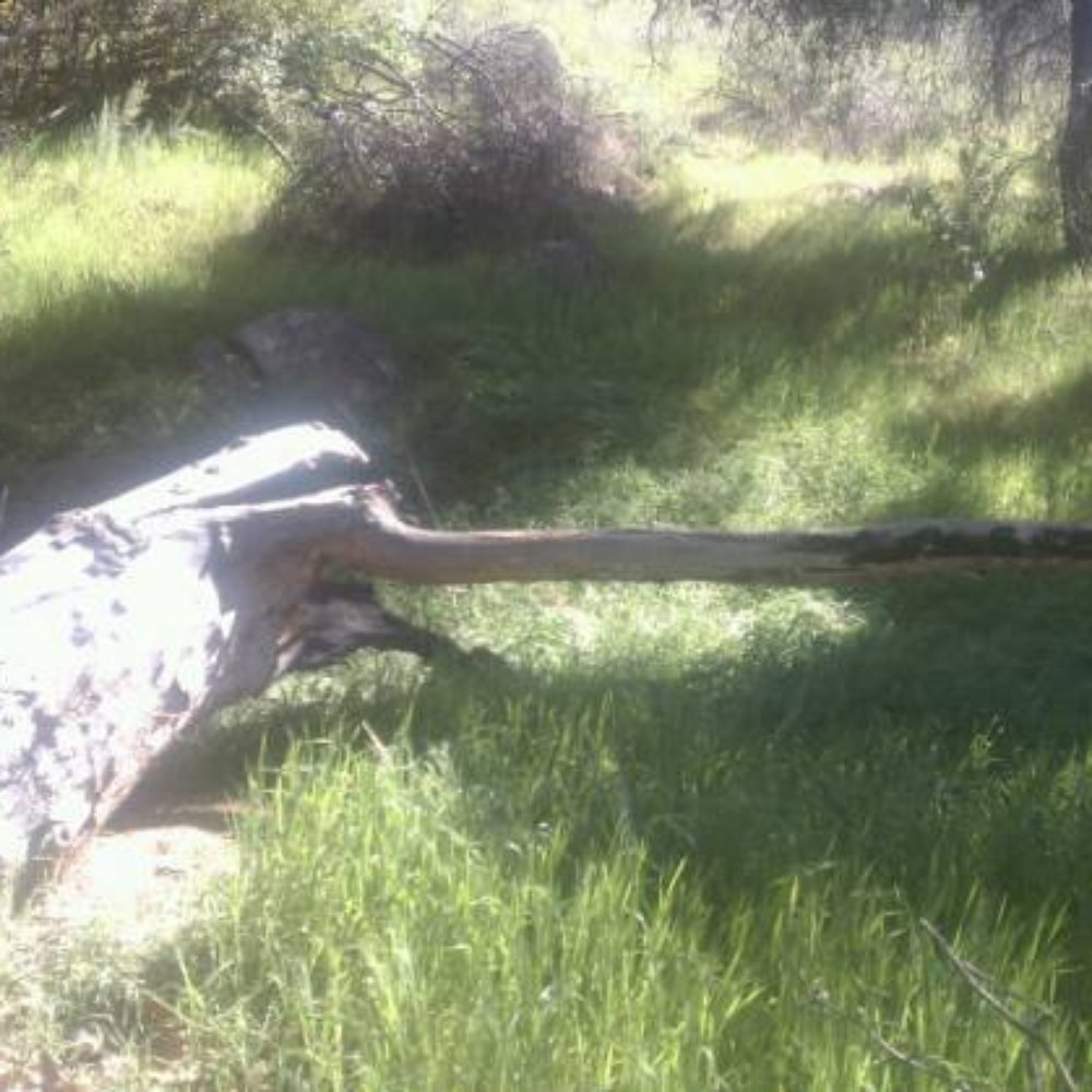 Hollenbeck Canyon Wildlife Area - Hiking Near Me - Jamul, California