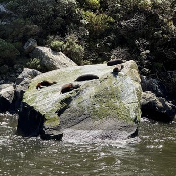 Milford Sound - Tours Near Me - Queenstown, STL Milford Sound - Tours Near Me - Queenstown, STL
