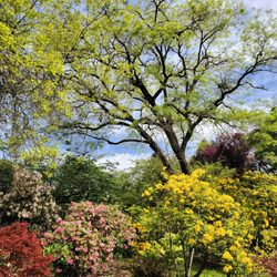 Crystal Springs Rhododendron Garden