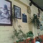 Photo of Bar los Gavilanes