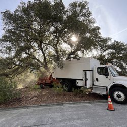 NewVista Tree Service