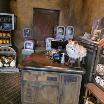 Creature Stall - Creature Stall - Gift Shops Near Me - Anaheim, California