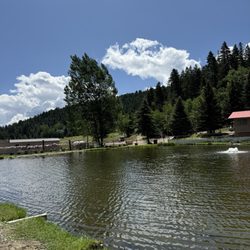 Silver Springs RV Park and Trout Pond