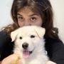 Photo of Critical Thinking Dog Services