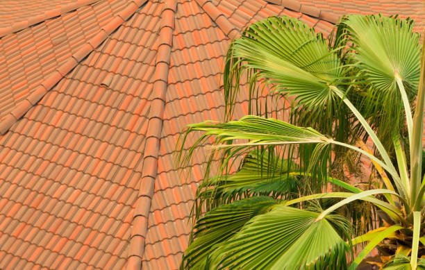 Slide of BD Roofs & Exteriors