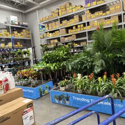 Lowe's Home Improvement