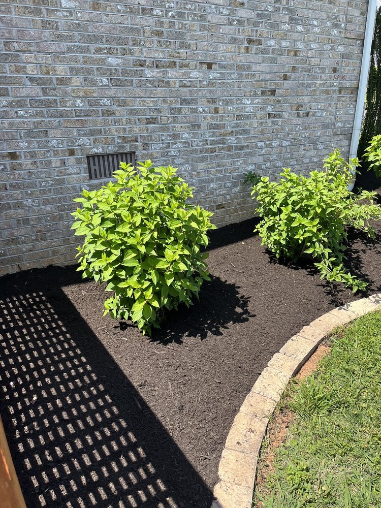 MENDOZA LAWN CARE Updated May 2024 Maryville, Tennessee Lawn