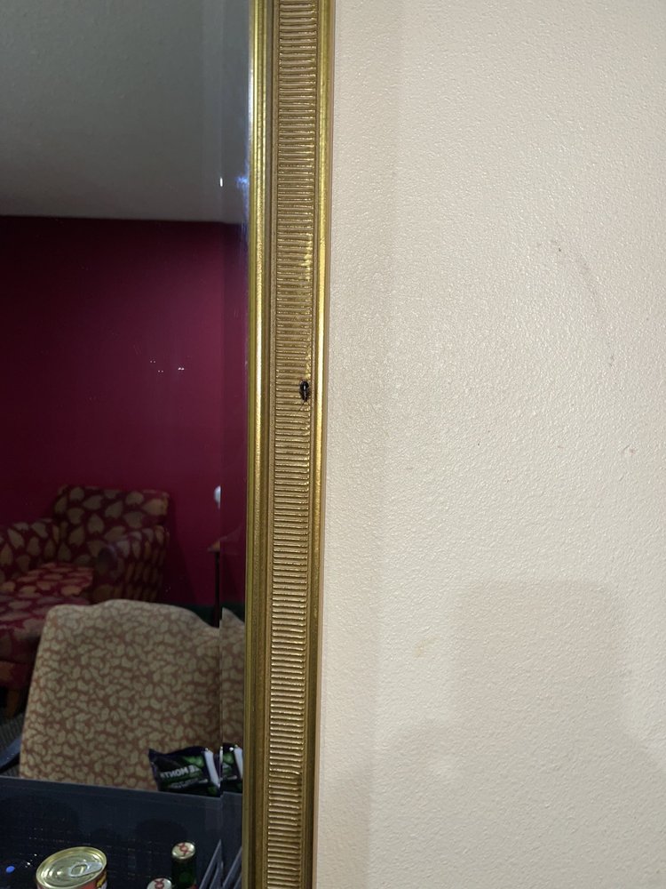 JEFFERSONIAN MOTOR INN Updated September 2024 1295 N Frontage Rd