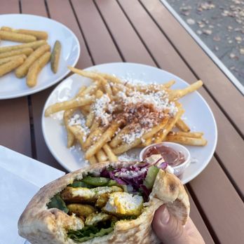 Small World Restaurant - Chicken Pita and Greek Fries - Middle Eastern Near Me - Napa, California