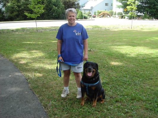 Fetch! Pet Care of Southeast Westchester