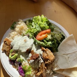 Gyro plate Gyro plate