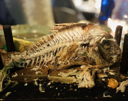 Pez Coastal Kitchen by null Pez Coastal Kitchen by null