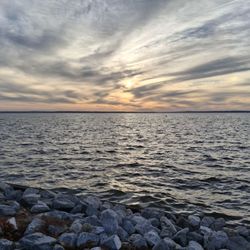 Old Trace Park