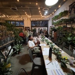 Wild Roots - Jungle Journal Workshop - Bullet Journal Introduction - Houseplant 101