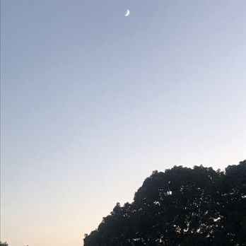 Tanglewood - the moon rising over the trees - Music Venues Near Me - Lenox, Massachusetts