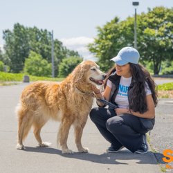 SNIFF Dog Walkers - SNIFF Dog Walkers - sniffdogwalkers.com
