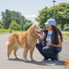SNIFF Dog Walkers gift card