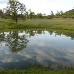 Mountain Valley Real Estate - 40 acres Roaring Creek Rd in Ono, CA