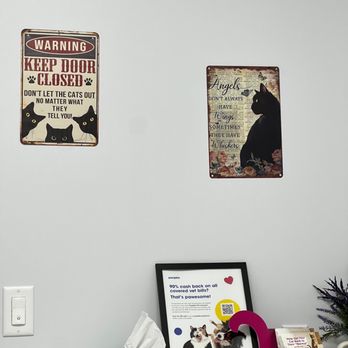PAWS Health Partners - Veterinarians Near Me - Henderson, Nevada PAWS Health Partners - Veterinarians Near Me - Henderson, Nevada