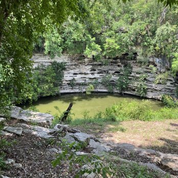 Chichen Itza - The cenote full of gross water - Tours Near Me - Chichén Itzá, YUC