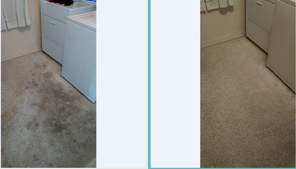 GENUINE CARPET CLEANER Updated September 2024 3505 Barnard Rd, Saginaw, Michigan Carpet