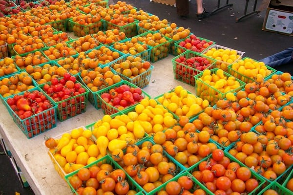 Temescal Farmer's Market by null