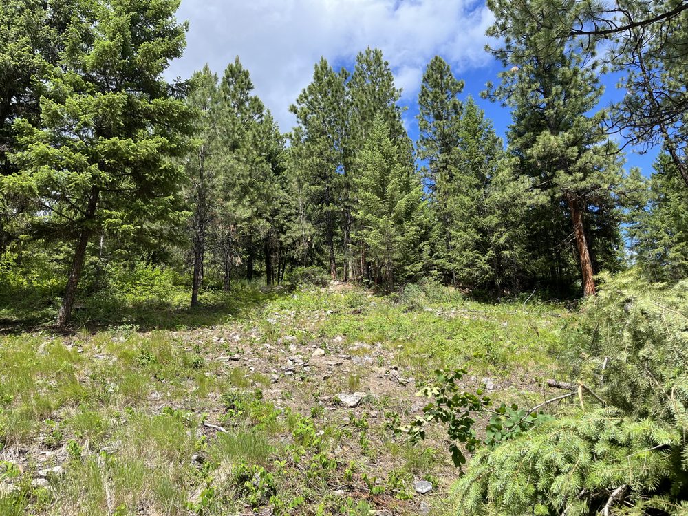 Stump Solutions - tree service in Missoula, MT