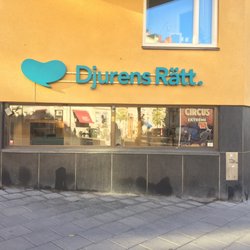 Djurens Rätt - Från Hornsgatan