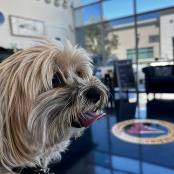 United Pet Hospital - Waiting in the lobby - Veterinarians Near Me - Hayward, California
