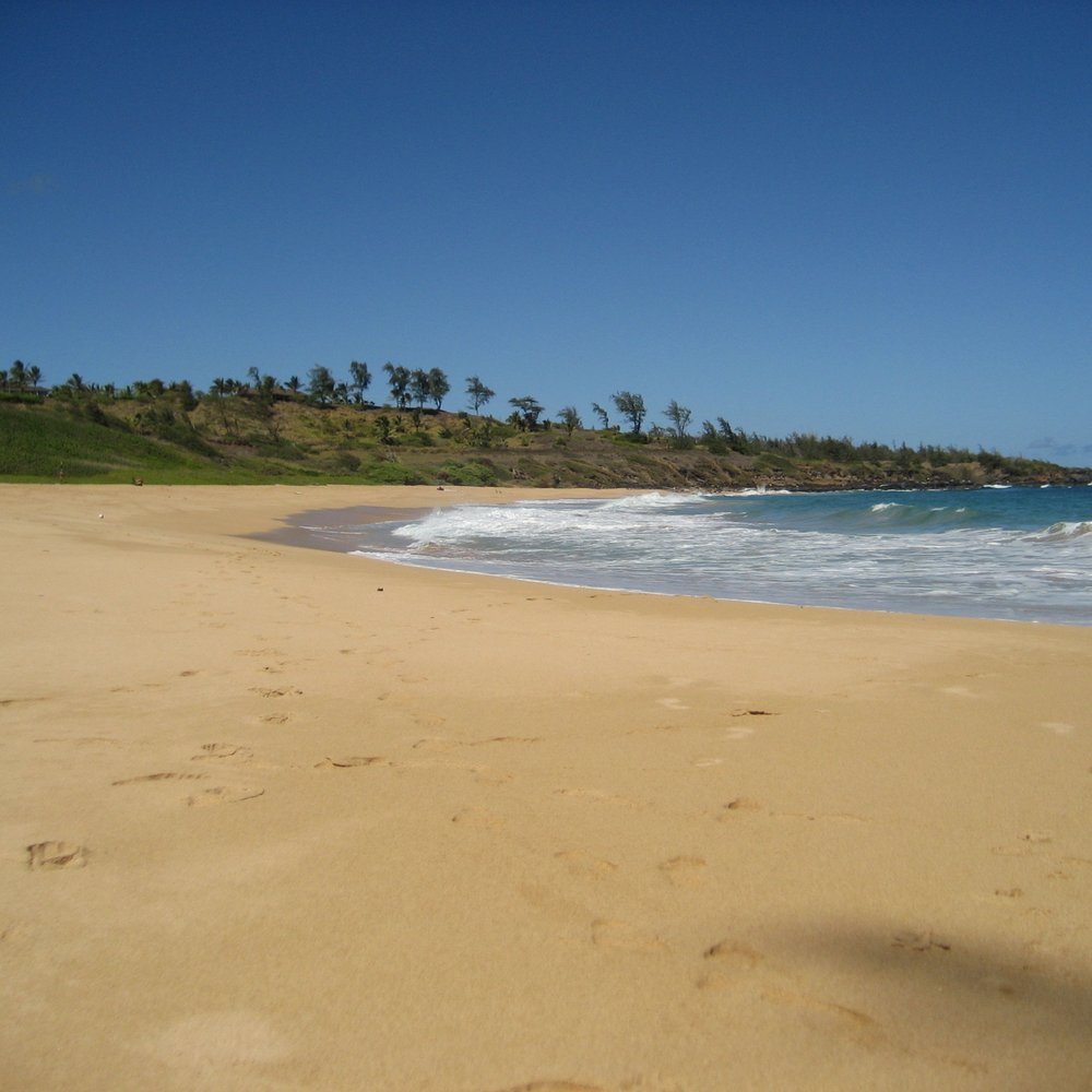 Kauai Path - Kicking it on the beautiful secluded Donkey Beach - Parks Near Me Kauai Path - Kicking it on the beautiful secluded Donkey Beach - Parks Near Me