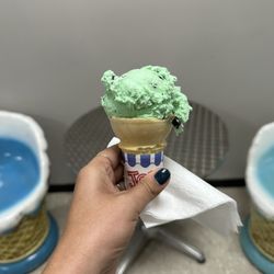 The Green Vine - Ice cream cake cone single scoop