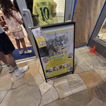 Cat Cafe Moff - Themed Cafes Near Me - Honolulu, Hawaii