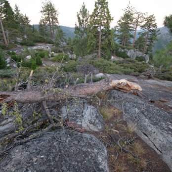 Donell Vista - Local Flavor Near Me - Tuolumne County, California