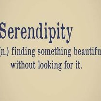 Serendipity HB Consignment Boutique - Women's Clothing Near Me - Huntington Beach, California Serendipity HB Consignment Boutique - Women's Clothing Near Me - Huntington Beach, California