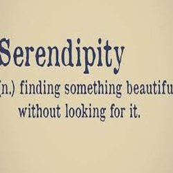 Serendipity HB Consignment Boutique