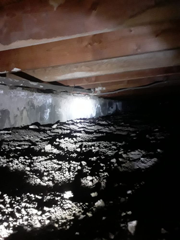 Slide of RLM Cali Builders