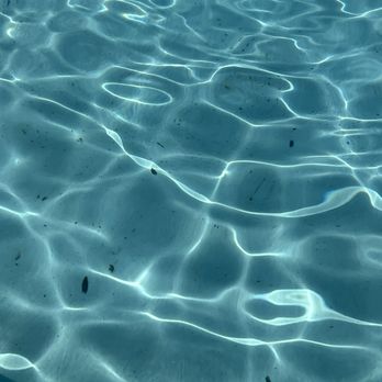 View at Legacy Oaks - Pool probably hasn't been vacuumed in over 2 weeks at view at legacy oaks - Apartments Near Me - Knightdale, North Carolina View at Legacy Oaks - Pool probably hasn't been vacuumed in over 2 weeks at view at legacy oaks - Apartments Near Me - Knightdale, North Carolina