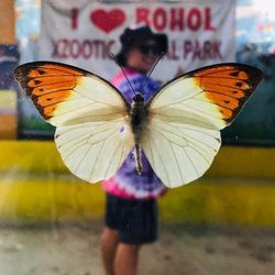 Explore Cebu Tours & Travel
