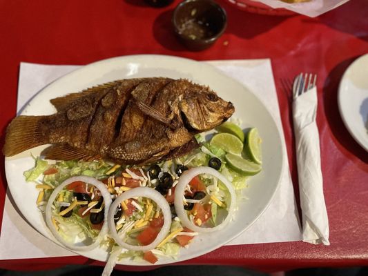 El Paso Restaurant by null