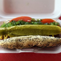 Chicago dog