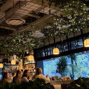 Aba - Mediterranean Near Me - Chicago, Illinois