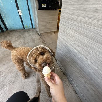 Cali Cream - Ice Cream Cone - Ice Cream & Frozen Yogurt Near Me - San Diego, California
