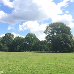 Palmengarten - Sommer im Palmengartrn