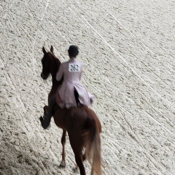 World Equestrian Center - Stadiums & Arenas Near Me - Ocala, Florida