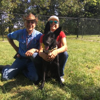 pet gentle dog training