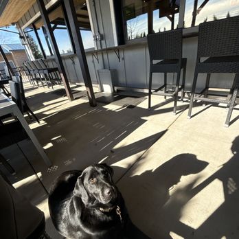 Penryn Grill - Dog friendly patio - Gas Stations Near Me - Penryn, California