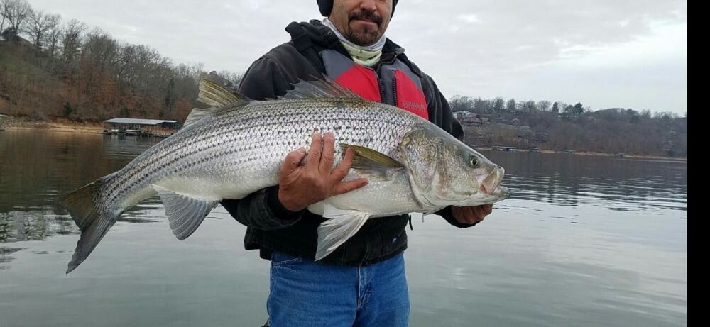 Big 1's Striper Guide Logo