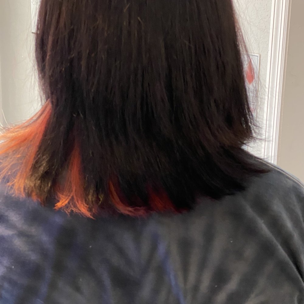 Salon Mia - Hair Stylists Near Me - Tampa, Florida Salon Mia - Hair Stylists Near Me - Tampa, Florida