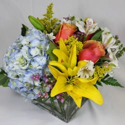 A Courtyard Florist - Fiery Spring Cube