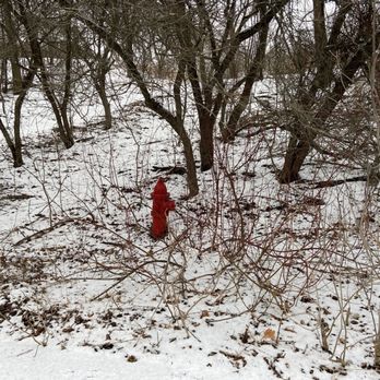 Klode Park - a little pop of color in the middle of winter - Parks Near Me - Whitefish Bay, Wisconsin Klode Park - a little pop of color in the middle of winter - Parks Near Me - Whitefish Bay, Wisconsin